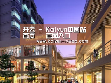 案例展示一(图1)