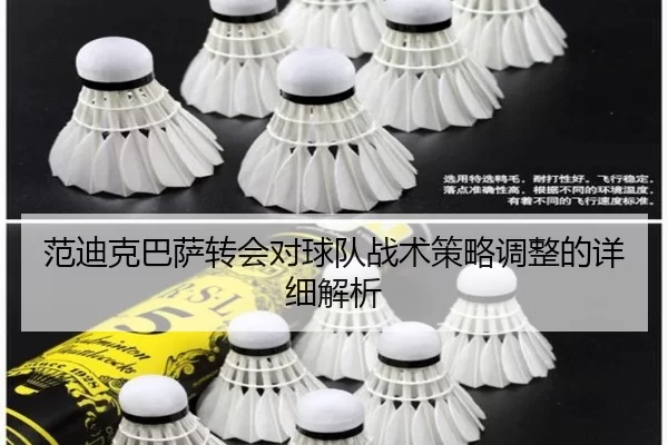 范迪克巴萨转会对球队战术策略调整的详细解析