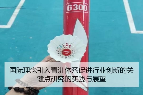 国际理念引入青训体系促进行业创新的关键点研究的实践与展望