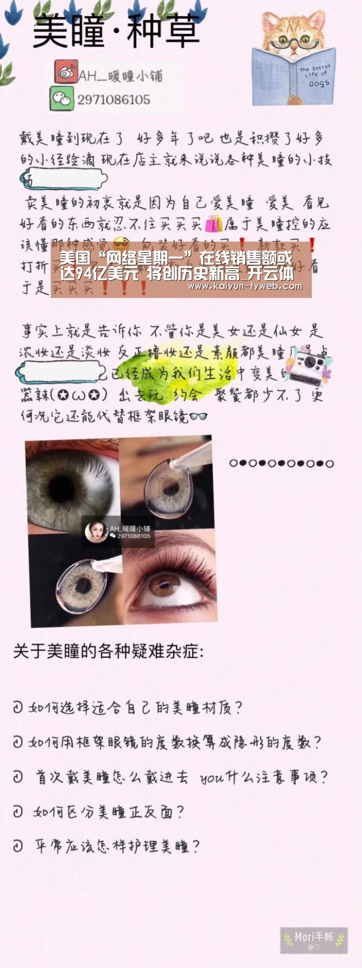 美国“网络星期一”在线销售额或达94亿美元 将创历史新高_开云体育(图3) 开云官网